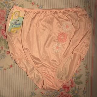 Vintage Lady Camille Underwear , Made in USA, 100% Nylon