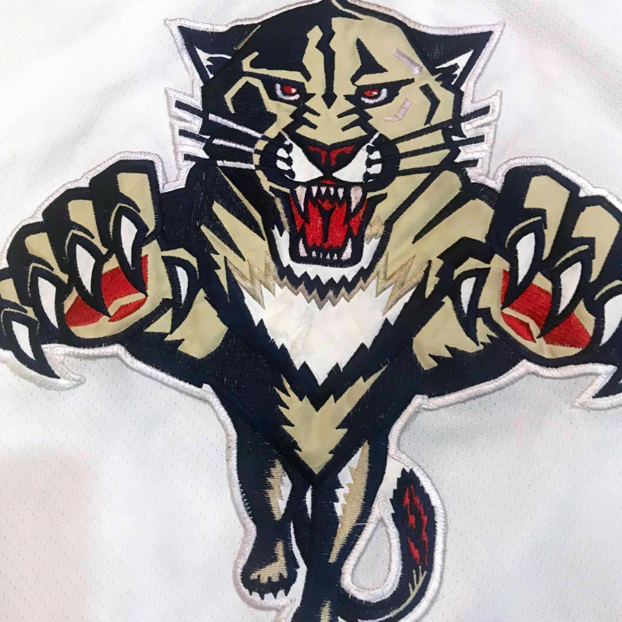 Pro Player Florida Panthers Stitched Hockey Jersey - Depop