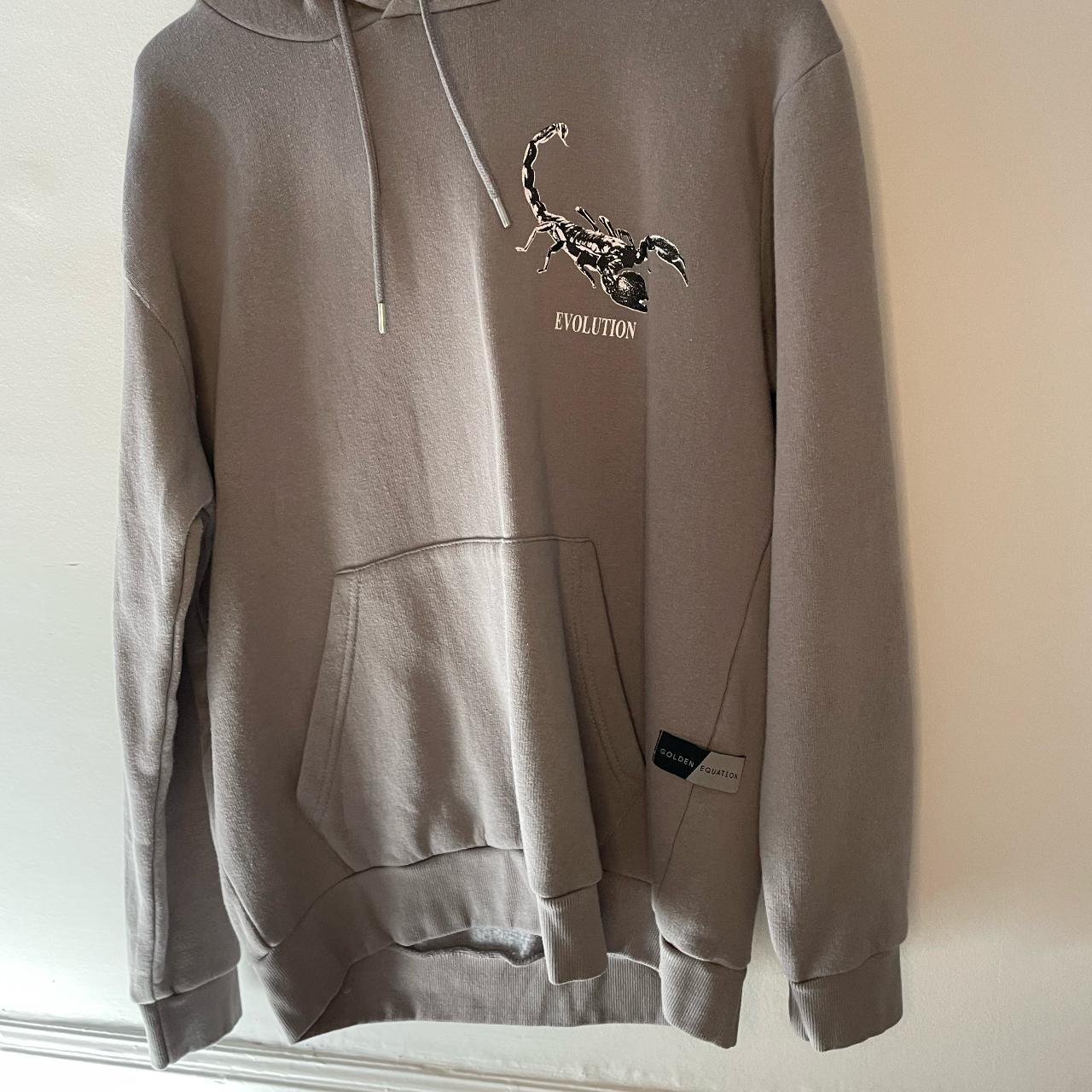 Golden Equation hoodie, grey, large, mint condition,... - Depop