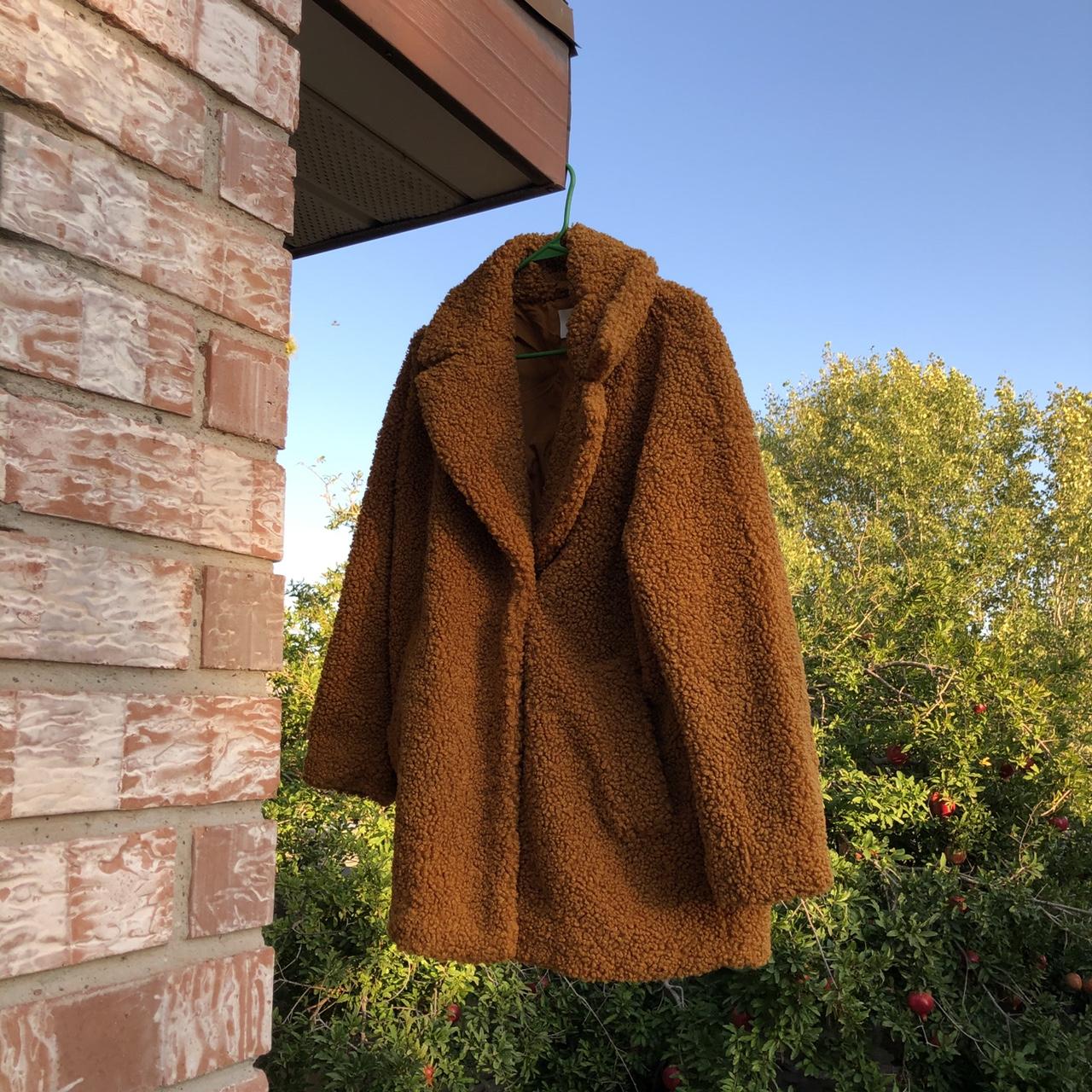 Orange teddy hot sale bear coat