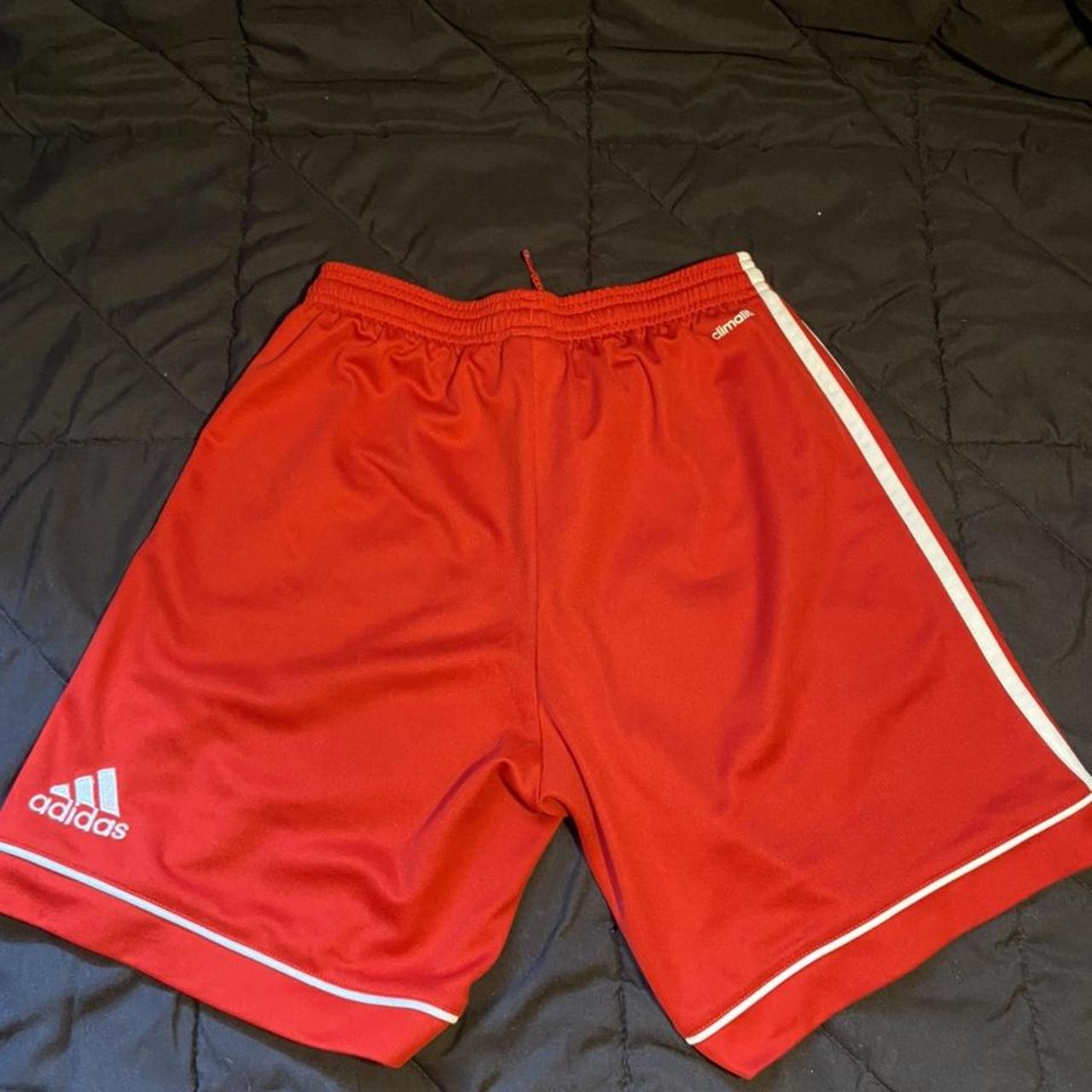 adidas climalite shorts red