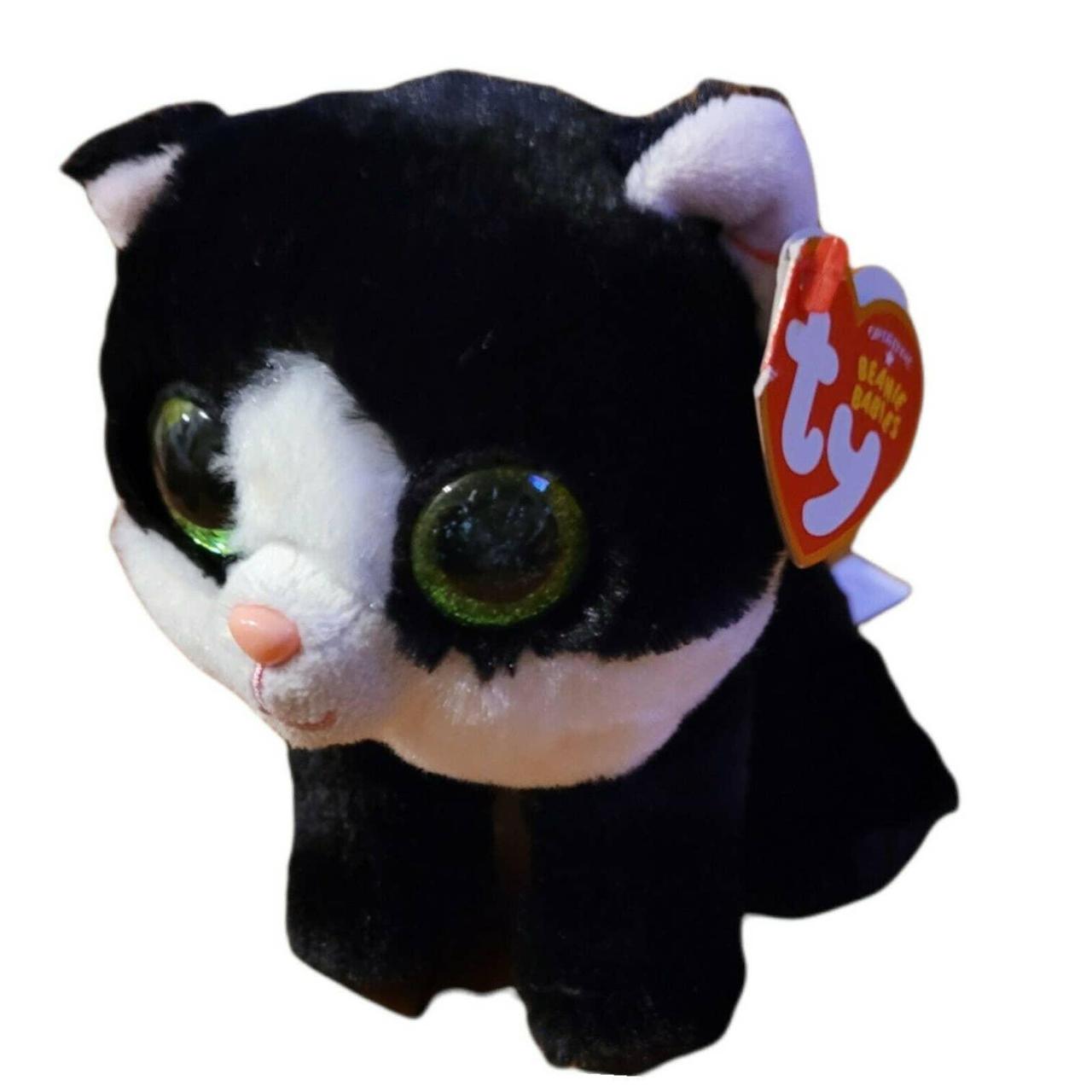 ty ava cat