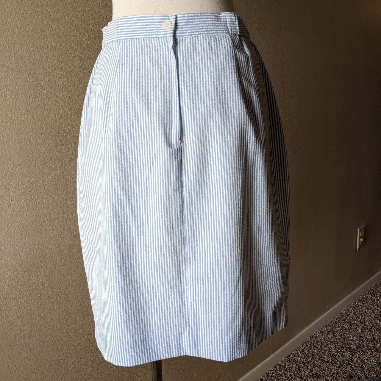 Women's Blue and White Skirt (2)