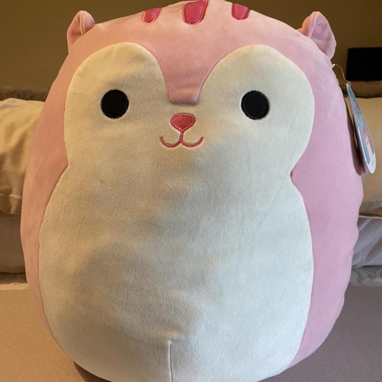 Squishmallows Sarah high quality the Squirrel 16