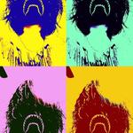 franky2729's profile picture