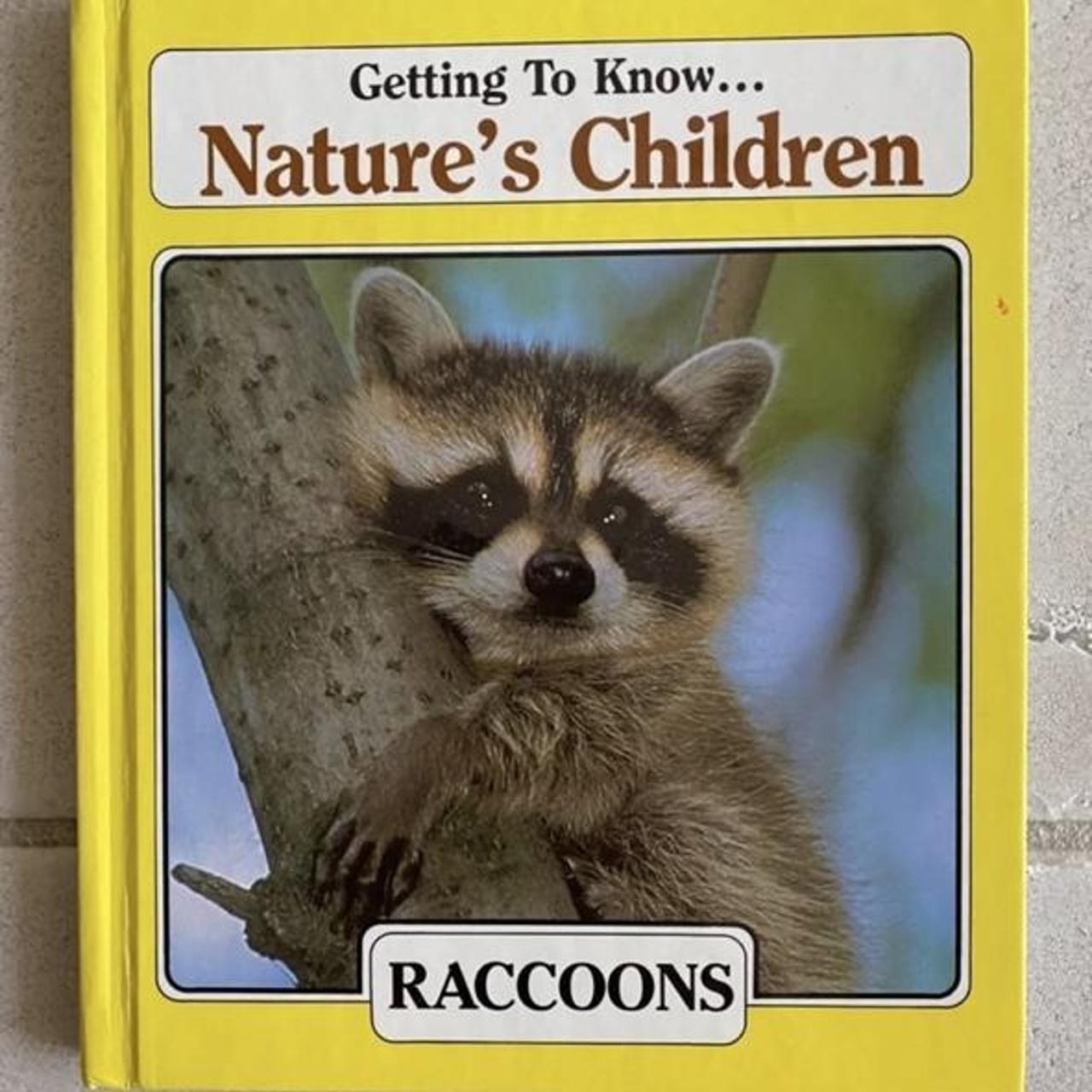 Vintage “Getting to Know Nature’s Children” Raccoons... - Depop