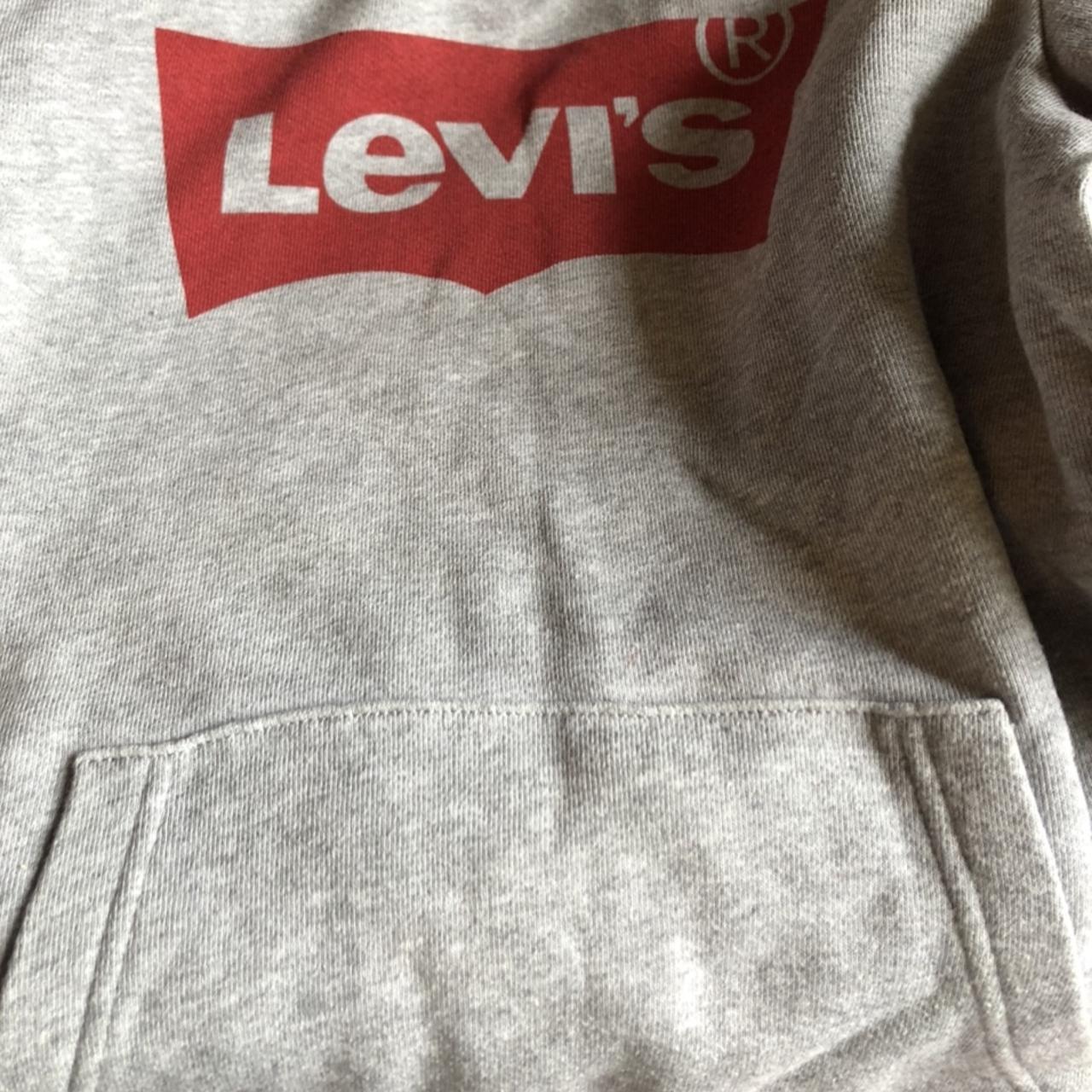 Grey on sale levi jumper