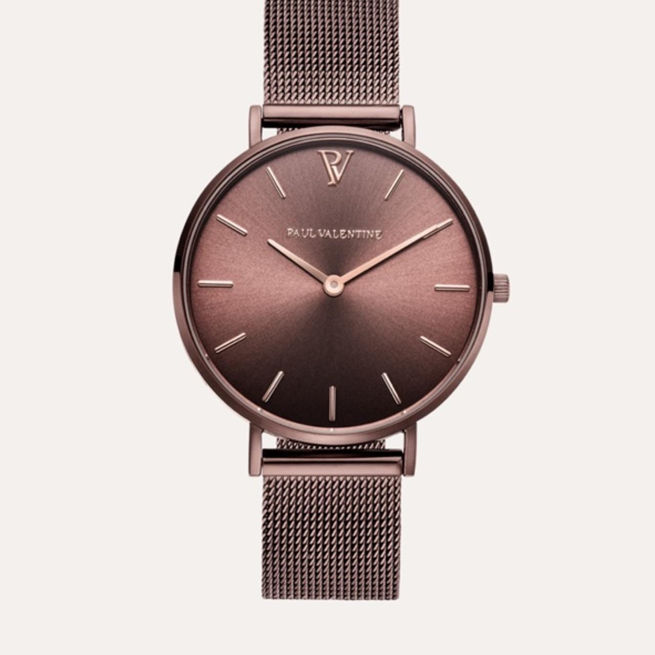 Paul valentine hotsell silver mesh watch