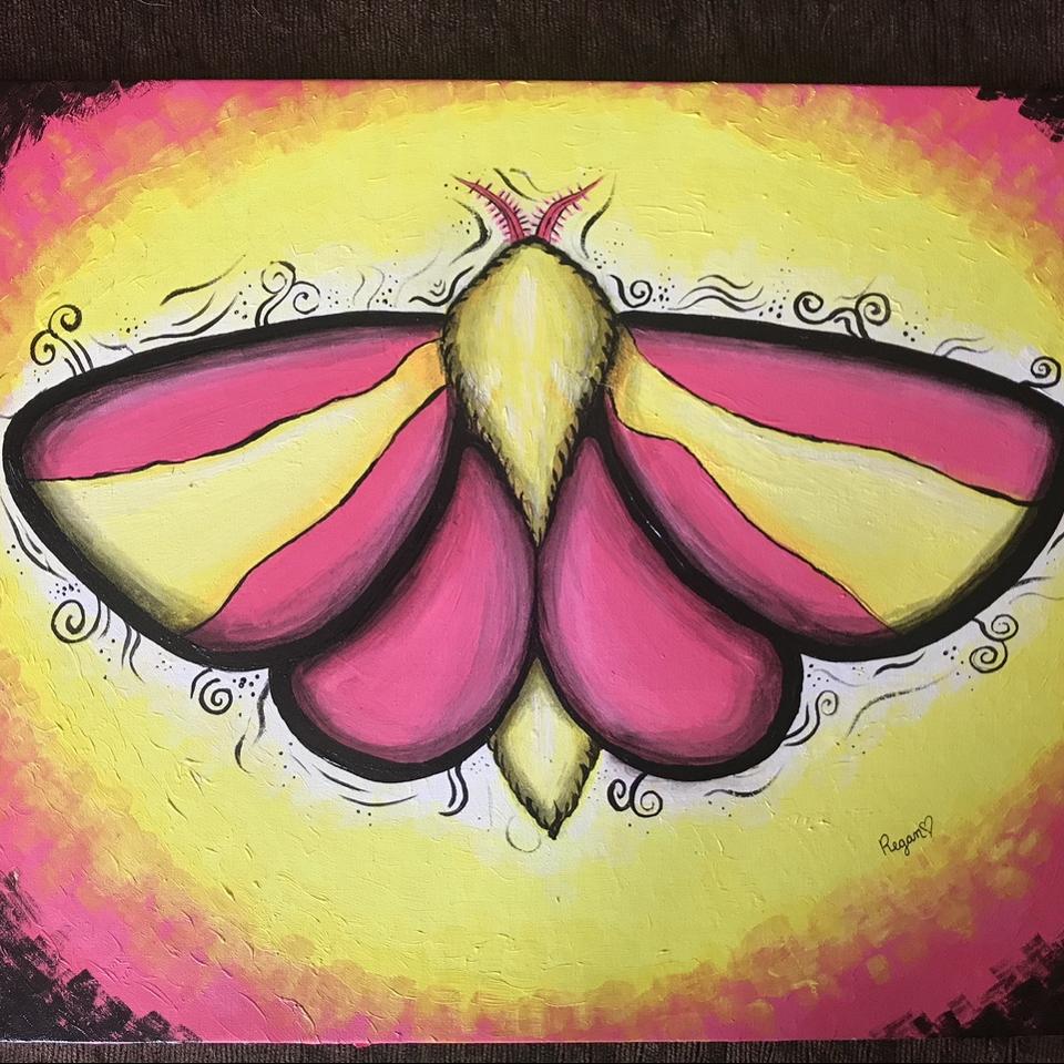 Rosy Maple Moth  Gogh Box Art Crate