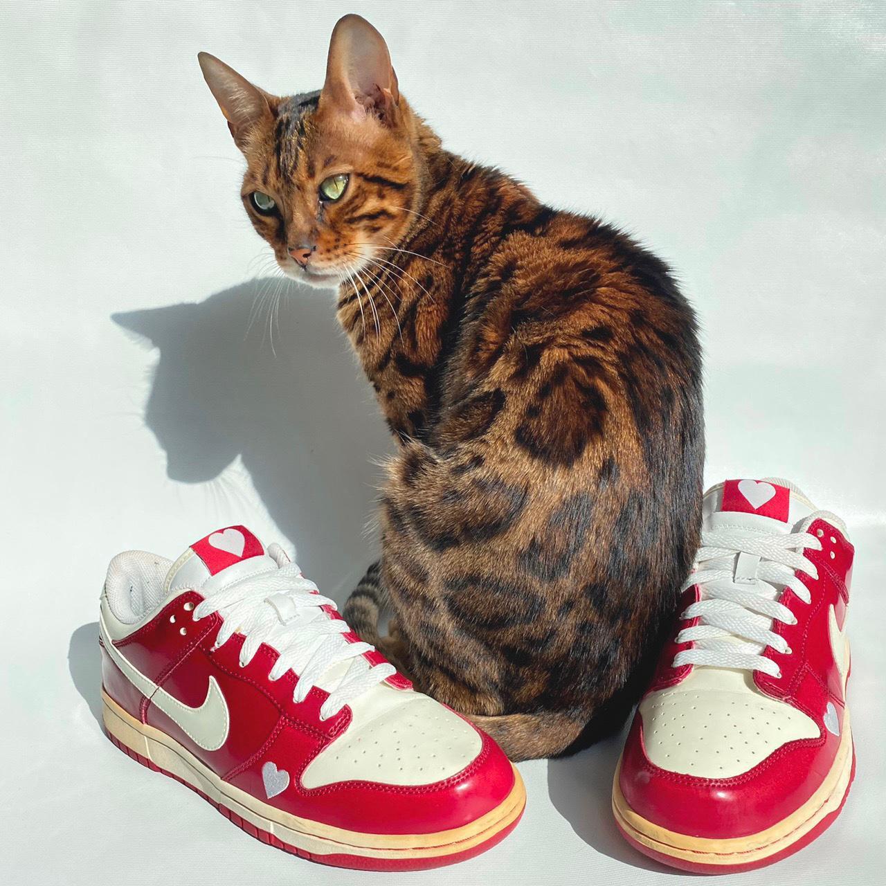 nike dunk low valentines day 2005