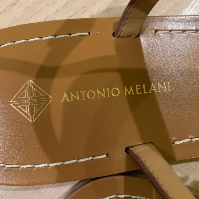 Antonio melani turtle sales sandals