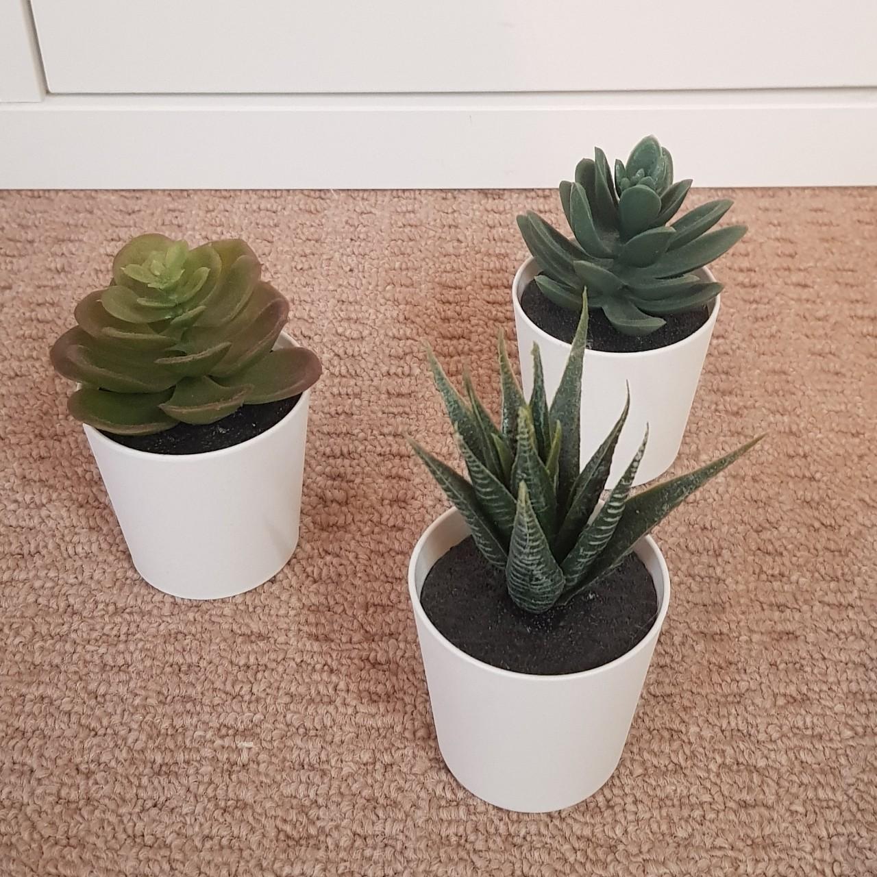 IKEA mini artificial succulent desk plants in pots... - Depop