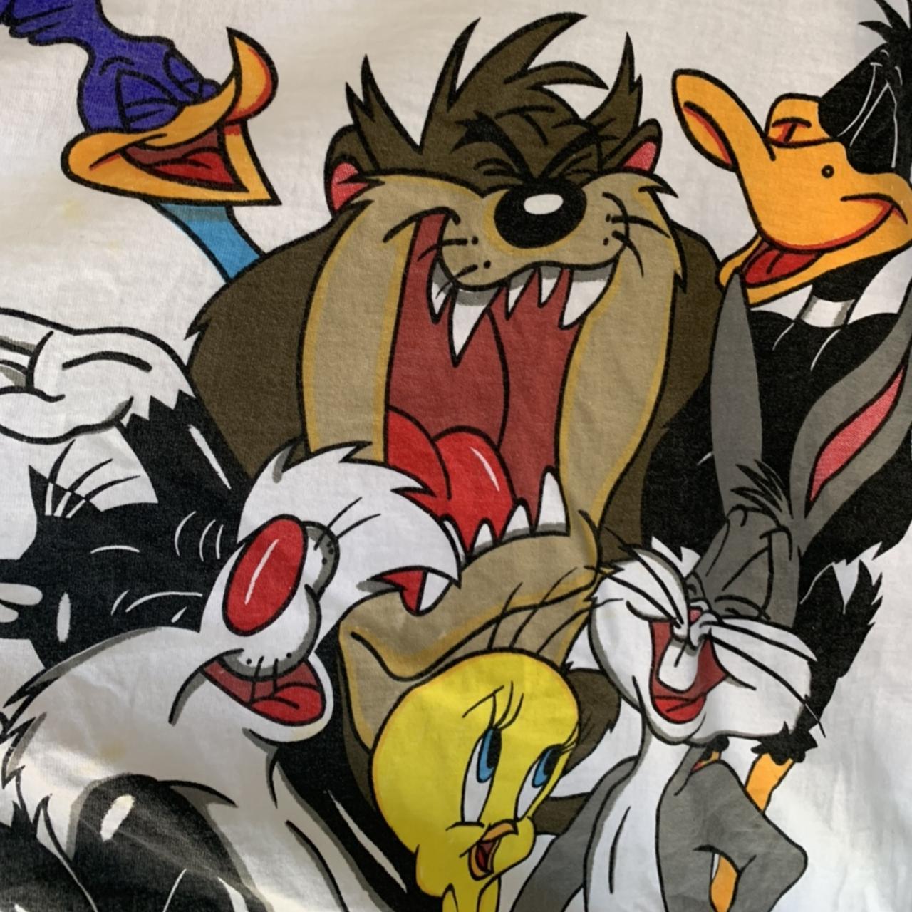Vintage 1993 looney tunes featuring Road runner | Depop