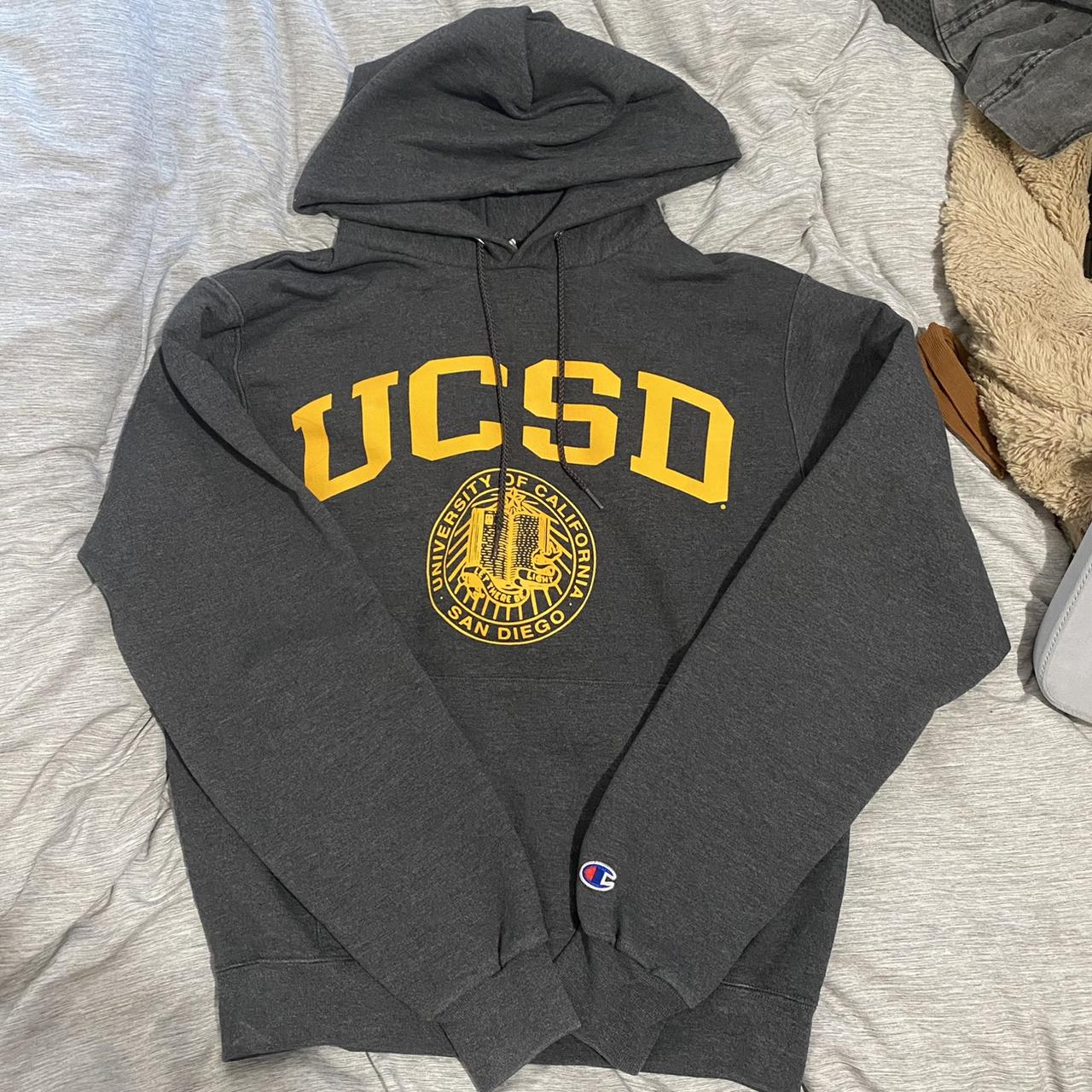 Ucsd store champion hoodie