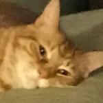 cleaningmyclosetxoxo's profile picture