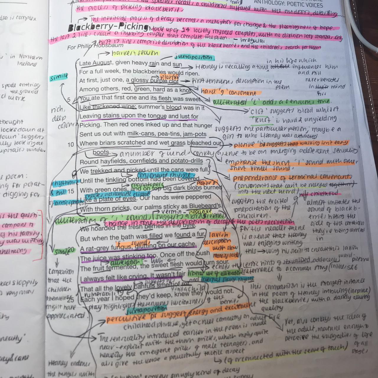 Alevel AQA English language & Literature annotated... - Depop