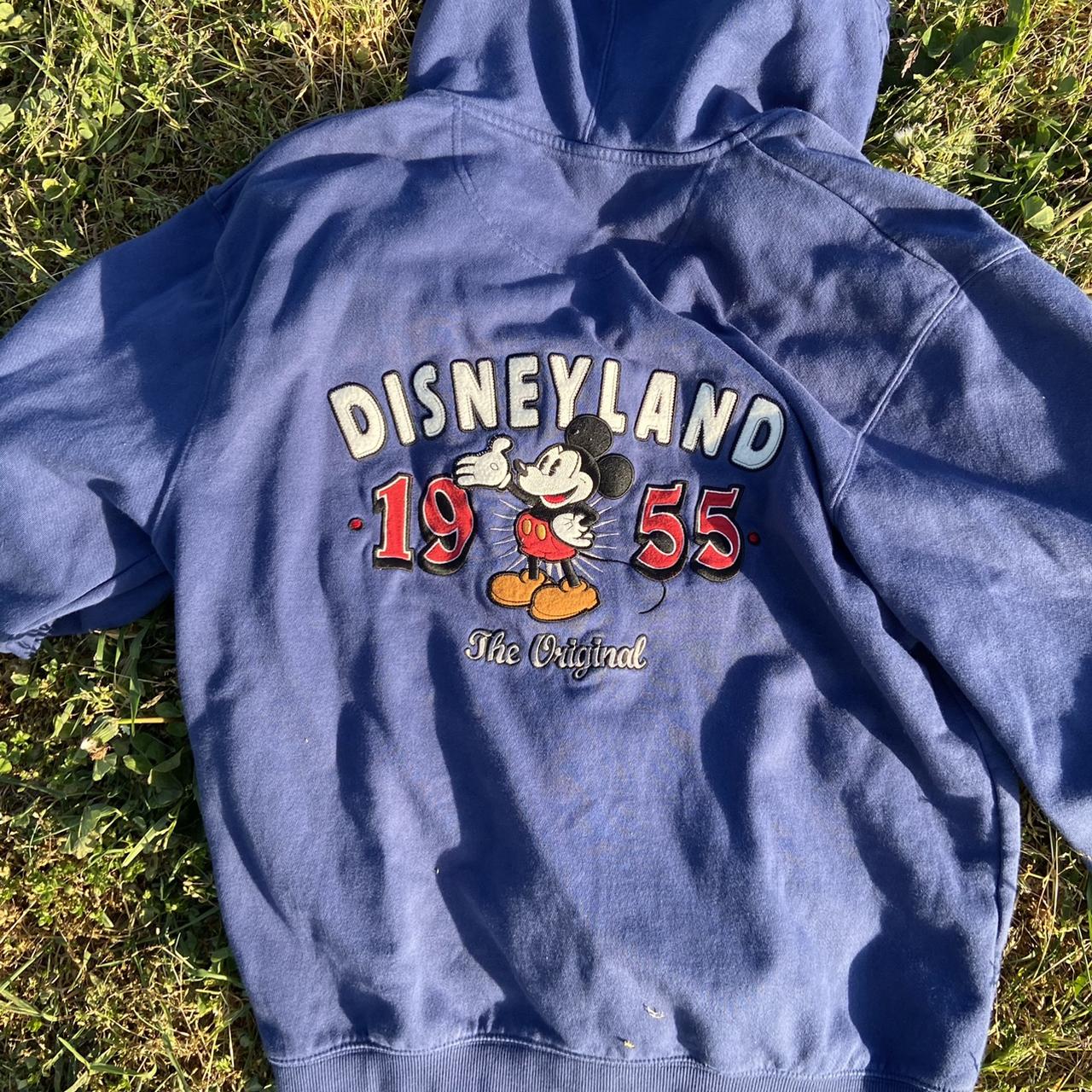 Disneyland zip nice cool color!! - Depop