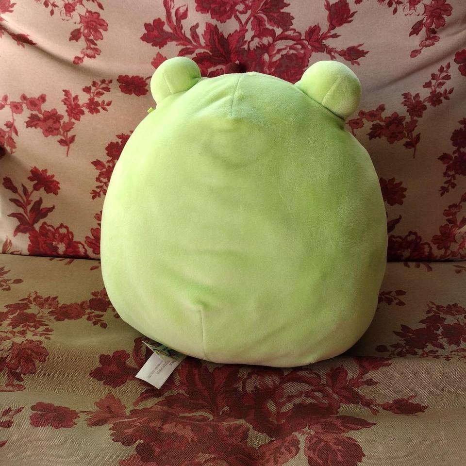 Fanina the Frog 14 inch squishmallow #Squishmallows - Depop