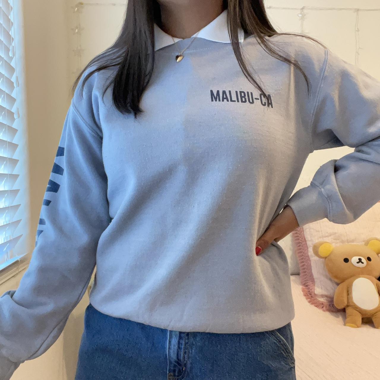 Brandy melville carousel online sweatshirt