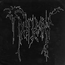 WOLF hat signed by Tyler You can see the signs Depop