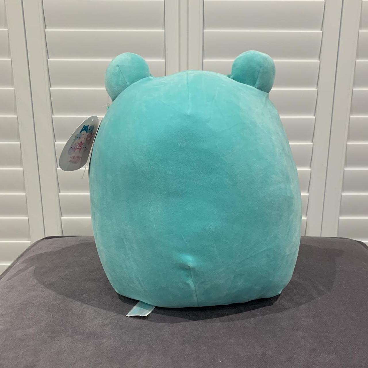 Ludwig the Frog 12” Squishmallow brand new with... - Depop