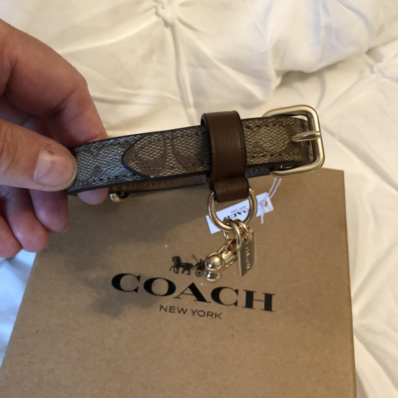 Coach hotsell pet collar