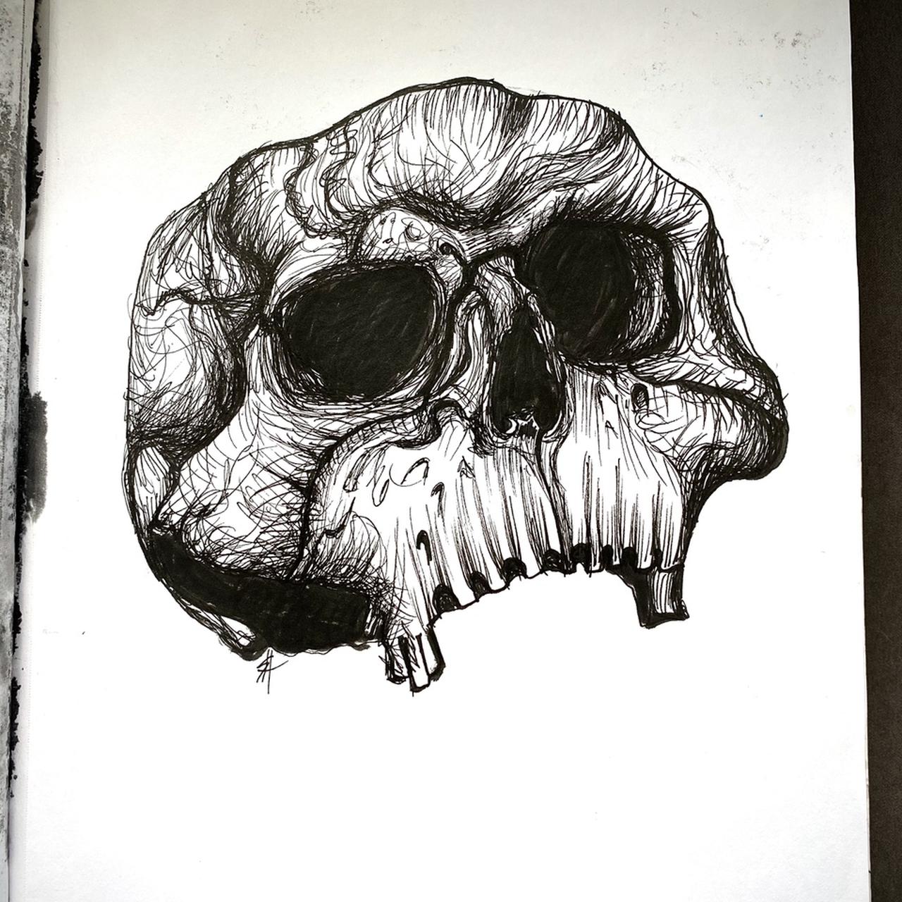 Pen Drawing 11