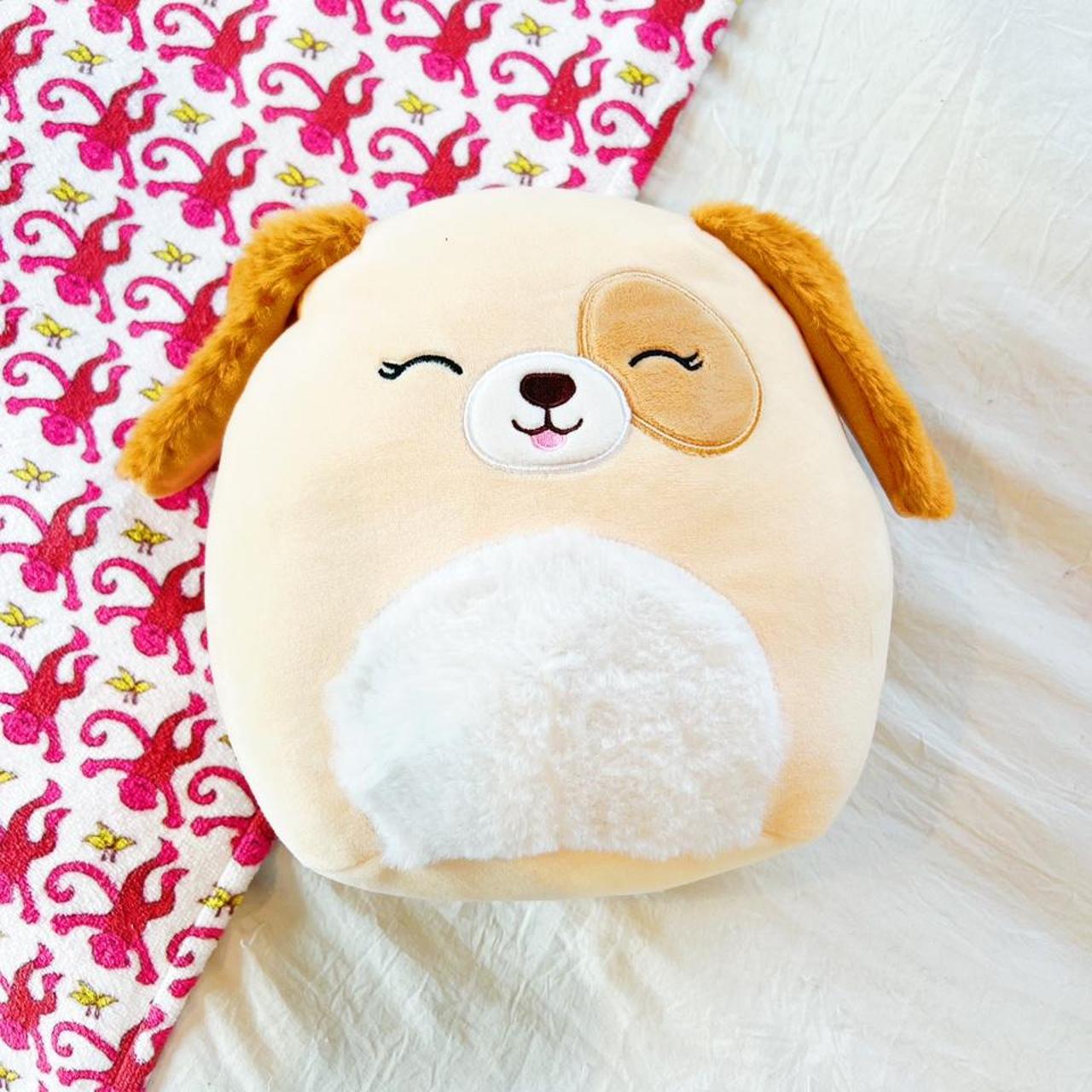 harrison the dog squishmallow ! 🌈 ️💗🥂 ☻ 8 inches ☻... Depop