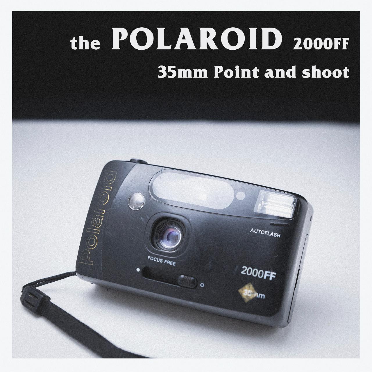 Polaroid 2000ff примеры фото