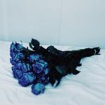 saccades_'s profile picture