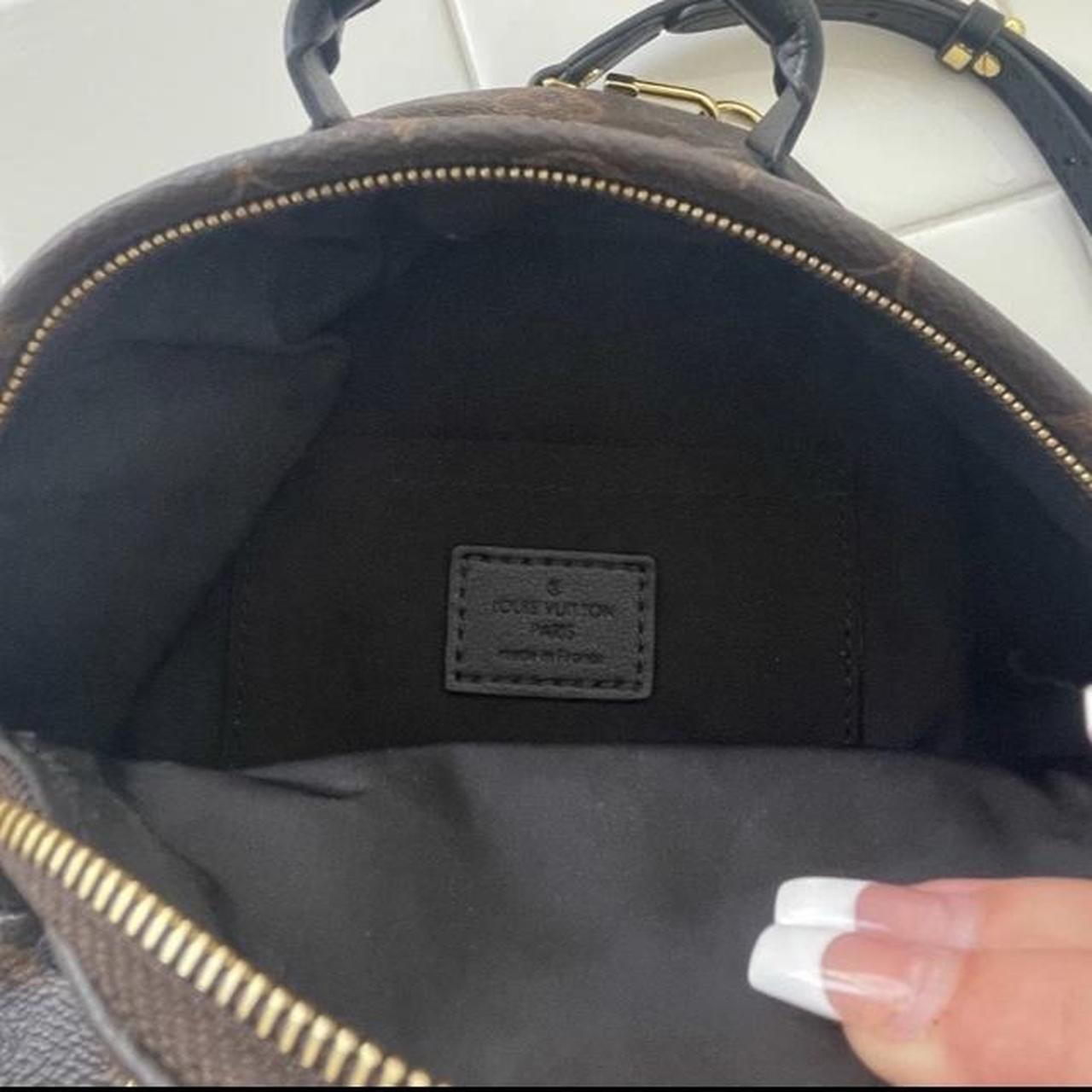 Louis Vuitton Palm Springs Mini Backpack ✓ 100% - Depop