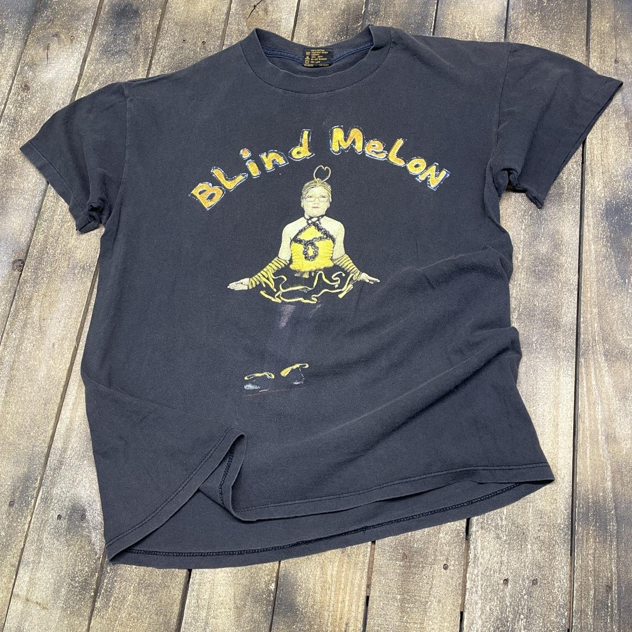 L vintage 90s 1992 Blind Melon No Rain tour t...