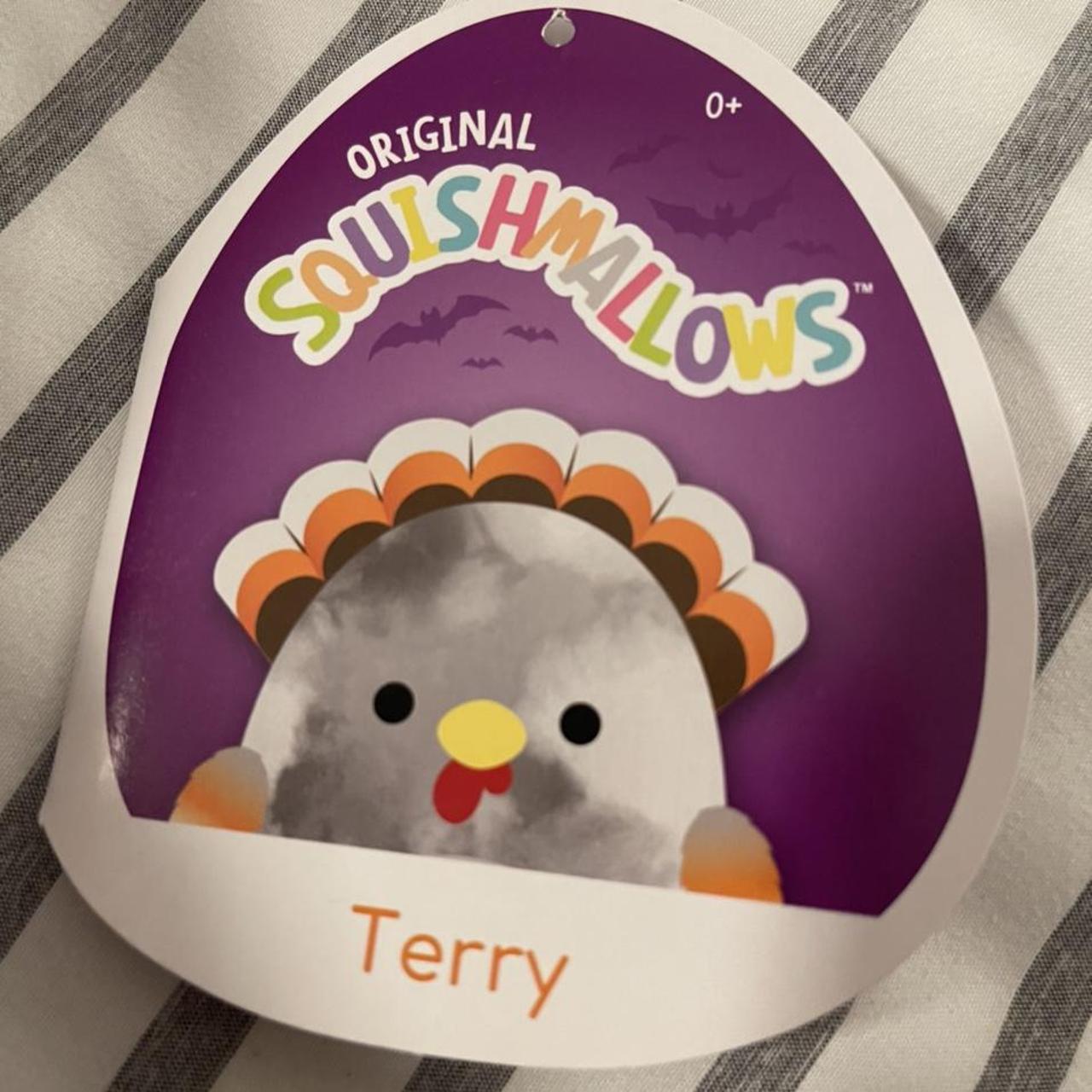 terry turkey squishmallow