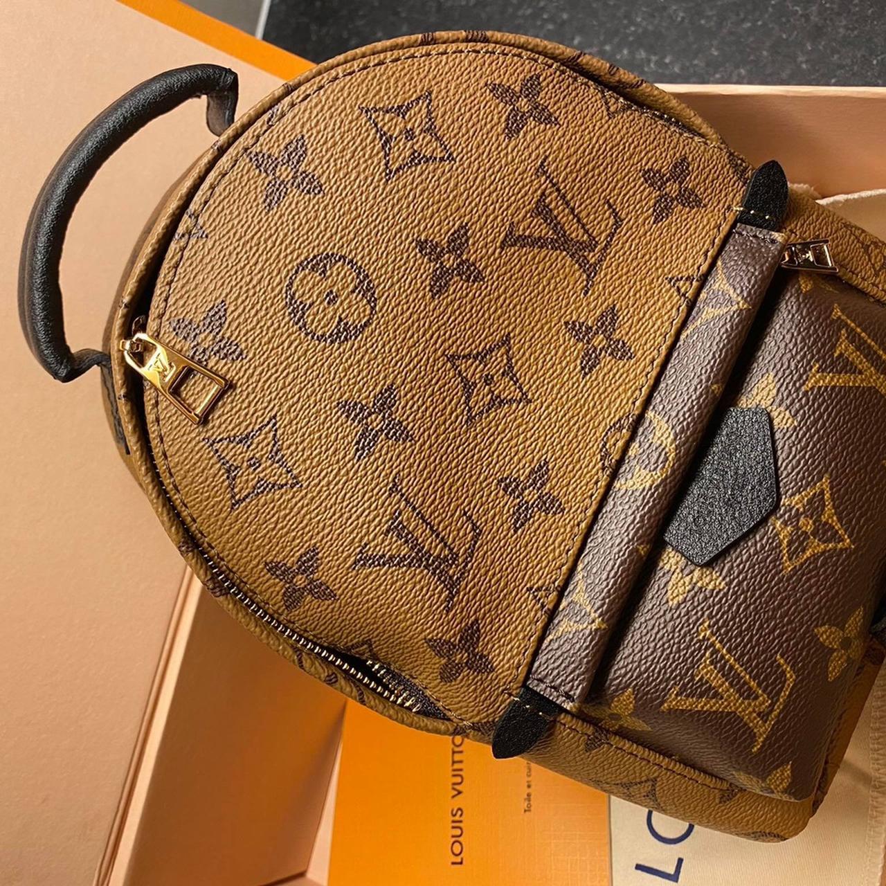 Louis Vuitton Palm Springs Mini Backpack *i was - Depop