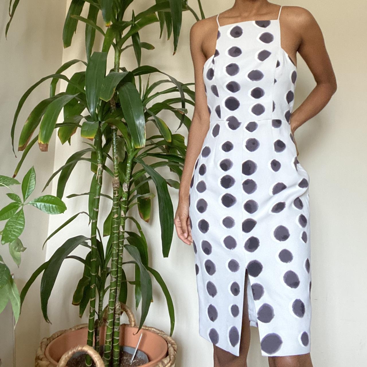 Keepsake polka dot dress best sale