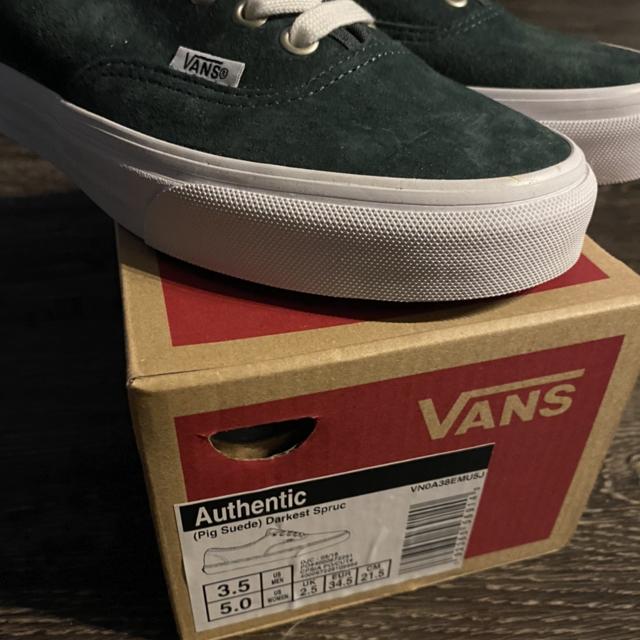 Vans authentic pig suede darkest clearance spruce