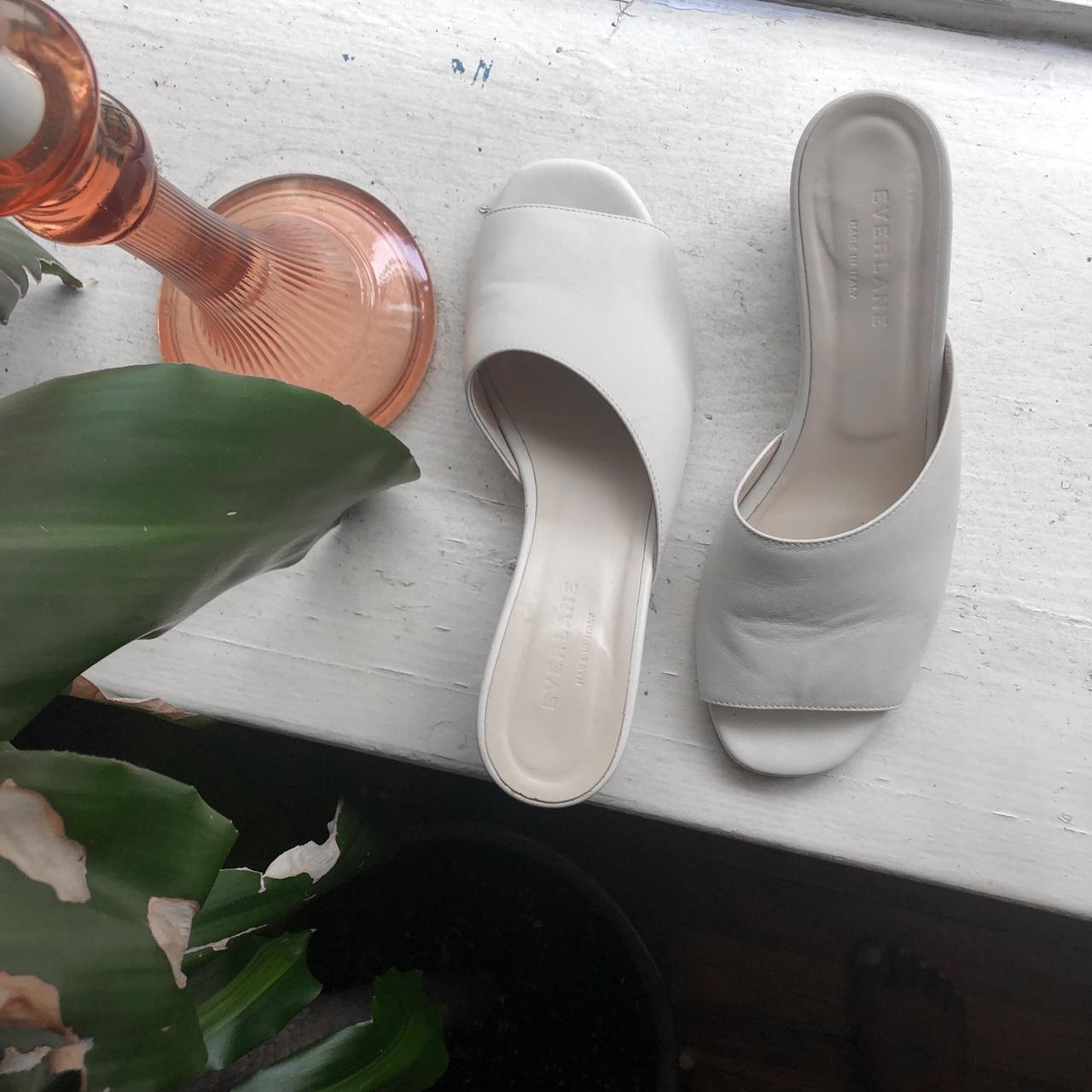 everlane mule