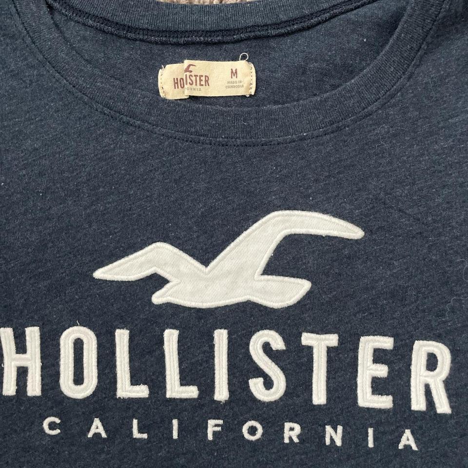 Hollister vintage Seagull Shirt Size L Rare and - Depop