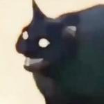 duriian's profile picture