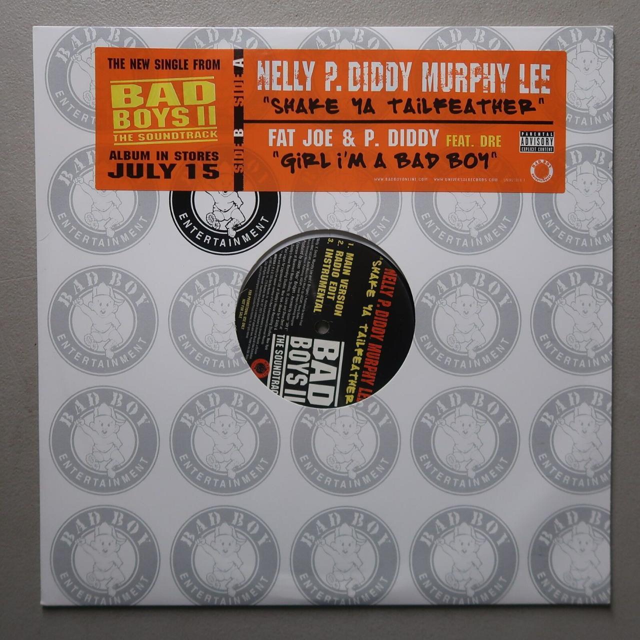 Nelly P. Diddy Murphy Lee Shake Ya... Depop