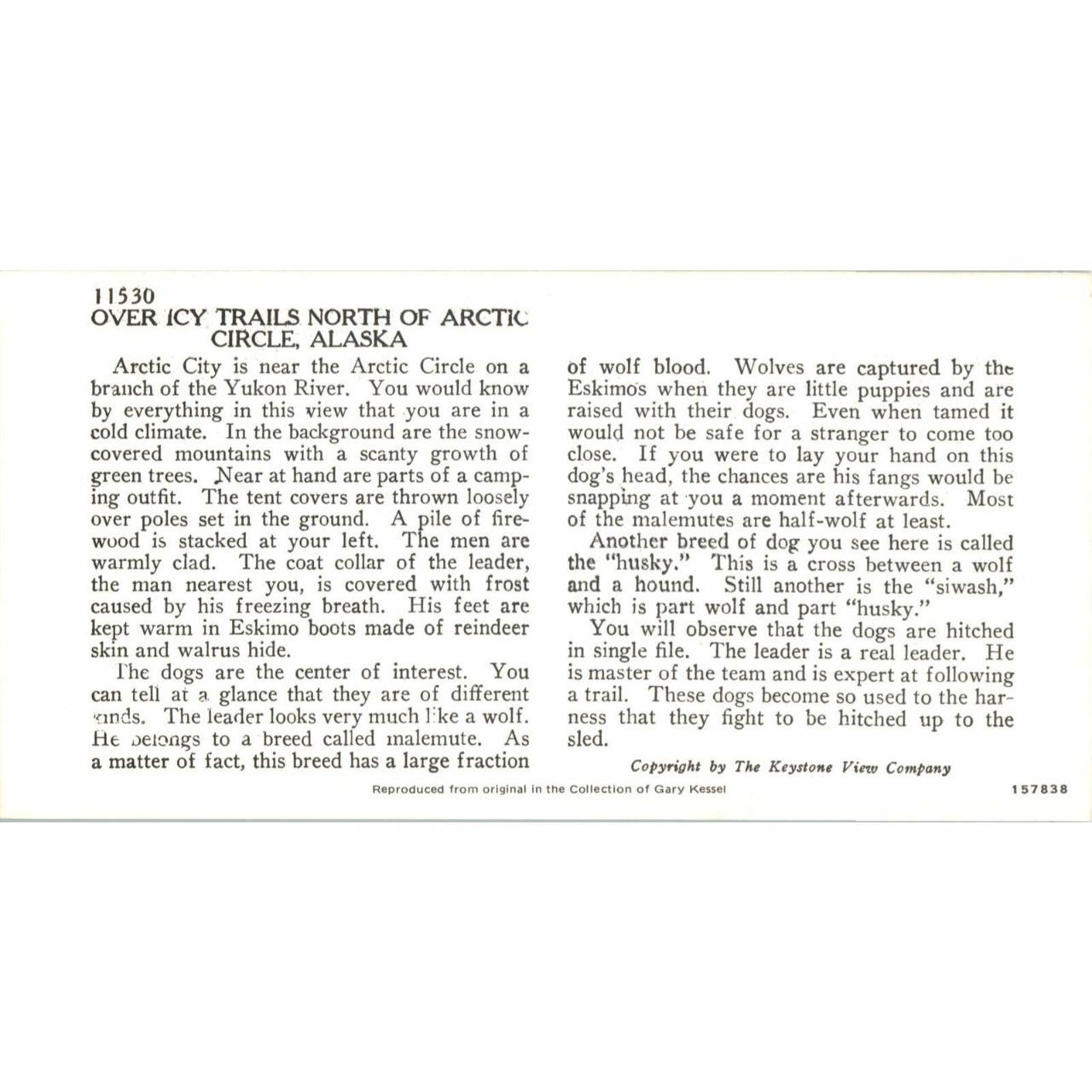 Gold Rush Dog Team Gold Miners Arctic Circle, Depop