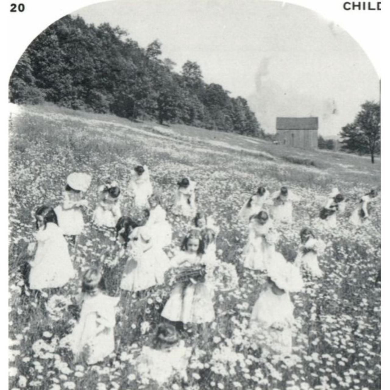 CHILDREN PICKING FLOWERS 