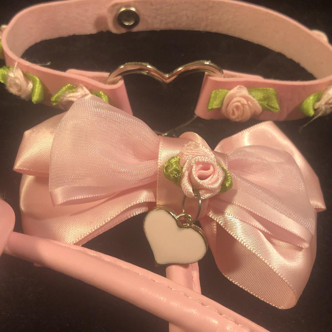 Ddlg collar hotsell and leash