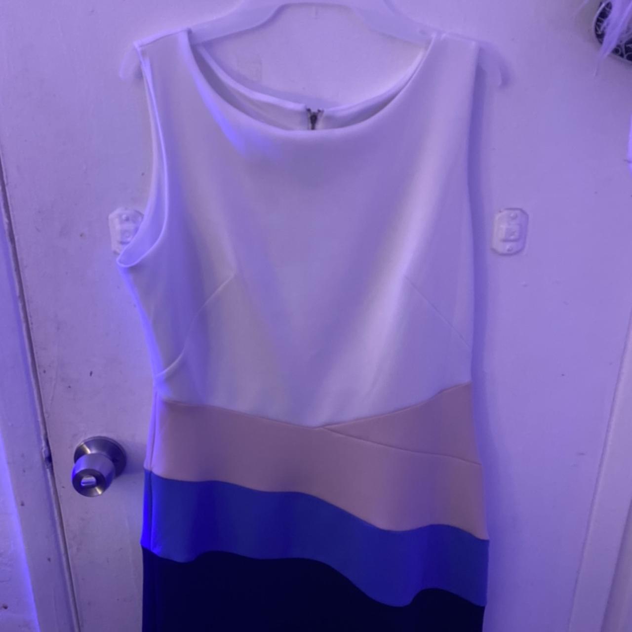 Enfocus Studio Women's Blue and Pink Dress