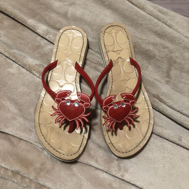 coach crab flip flops