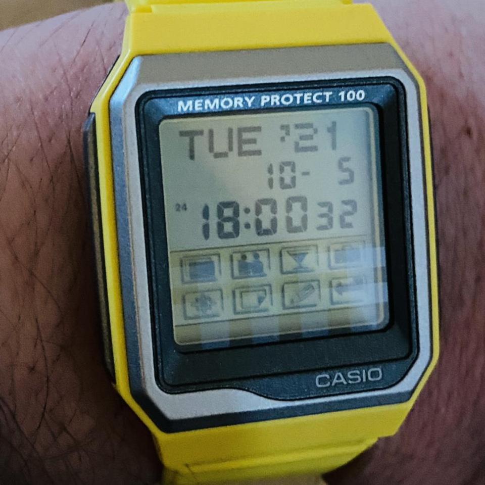 casio memory protect 100