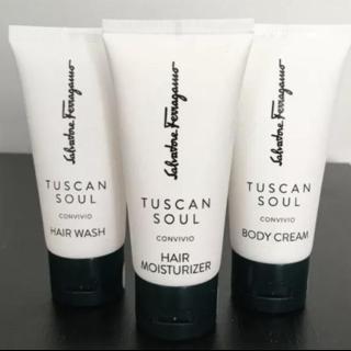 Salvatore ferragamo tuscan soul hair outlet wash