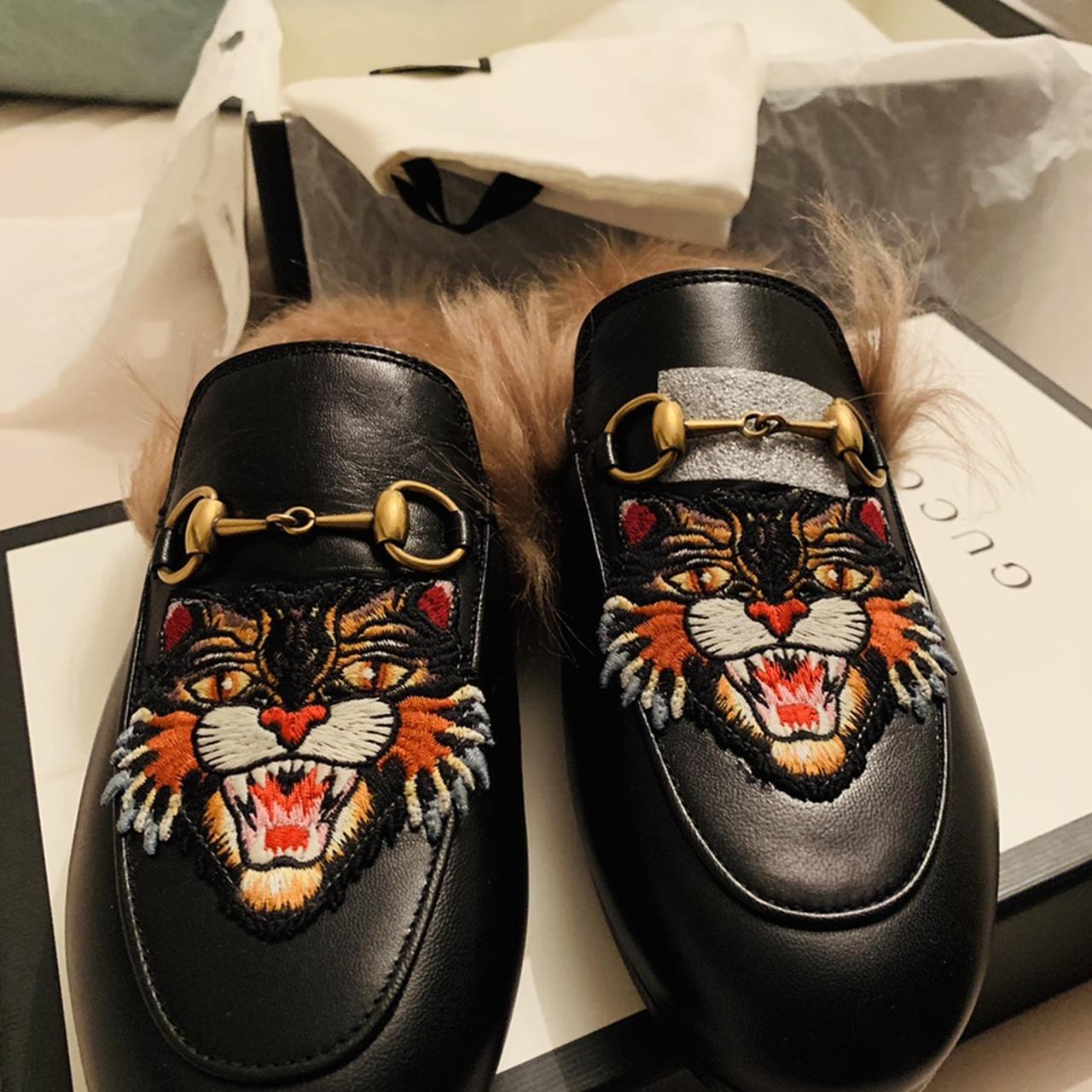 Gucci princetown angry store cat