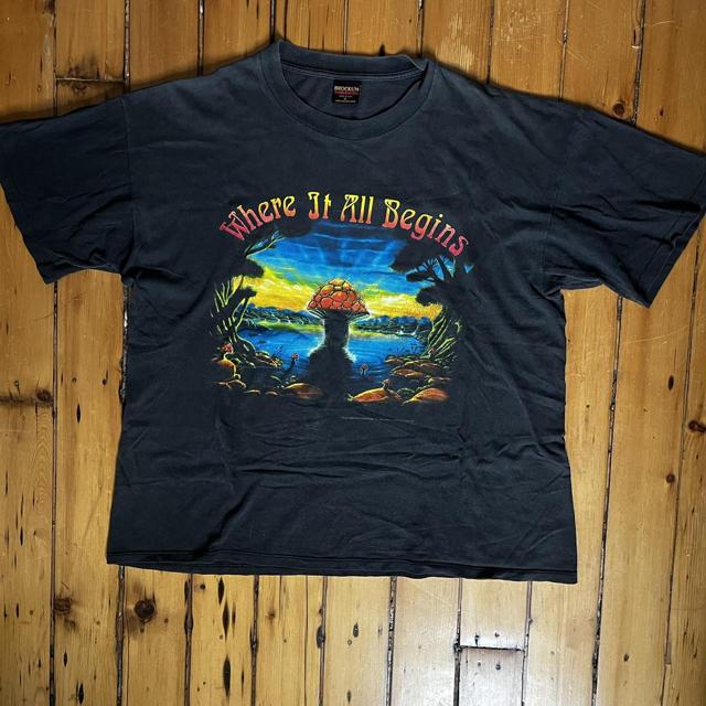 Vintage 90s Allman Brothers Band tour t-shirt size... - Depop