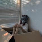 jennysun's profile picture